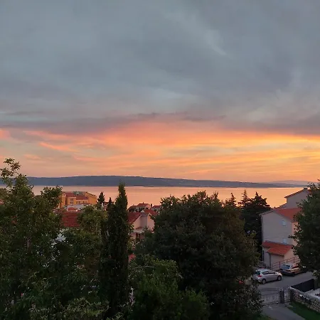 Palada *